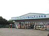 周辺：ドラッグセイムス土呂駅前店 294m
