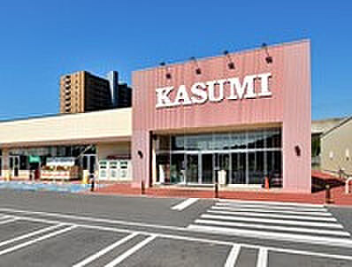 画像27:【スーパー】KASUMI(カスミ) 万博記念公園駅前店まで1332ｍ