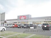 スーパーマーケットバロー　南彦根店まで1100メートル
