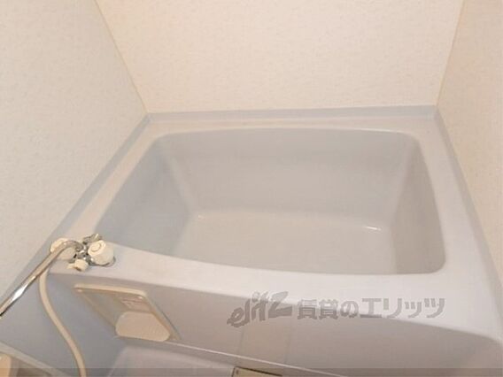 グロリオーサ園_その他_1