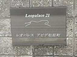 17 / 32