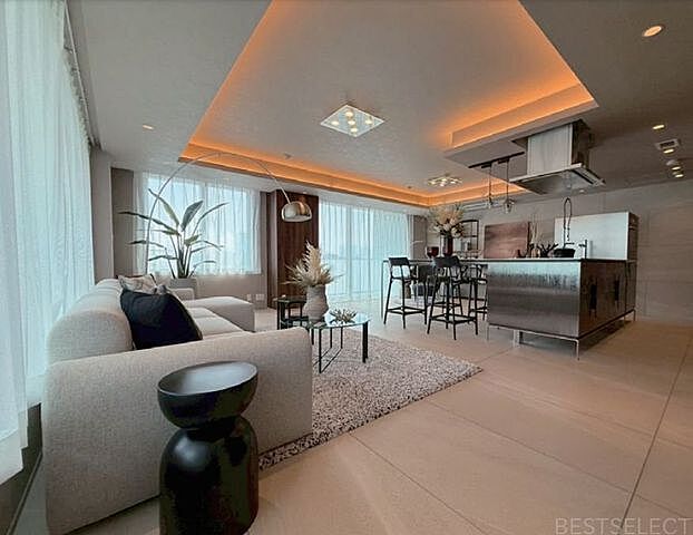 リビング/ダイニング 元麻布パークハウス 5階/-