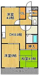 ドゥエル杉野