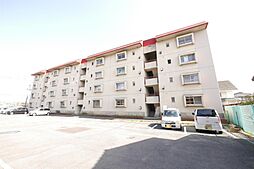 ラナンキュラス