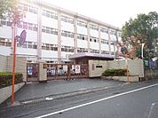 医生丘小学校(880m)