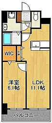 エヴァーグリーンR 2階/-