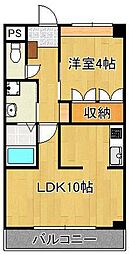 ラピュタ 1LDKの間取図画像