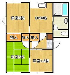 アーバン光　Ａ棟 2階/-