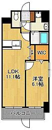 エヴァーグリーンR 1階/-