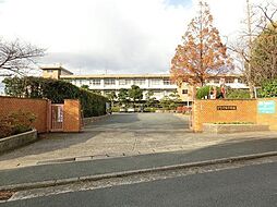 穴生中学校(670m)