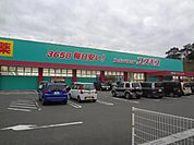 株式会社コスモス薬品／ディスカウントドラッグコスモ(366m)