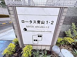 13 / 33