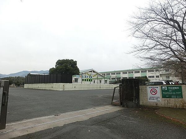 画像15:楠橋小学校(1、800m)