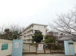 八児小学校(450m)