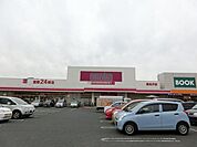 マックスバリュ真名子店 (670m)