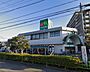 周辺：マルエツ 市川大野店まで徒歩12分