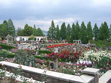 荒牧バラ公園の外観