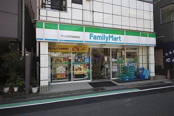 画像19:【コンビニエンスストア】ファミリーマート サンズ向河原駅東店まで198ｍ