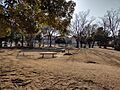 稲毛海岸2丁目...