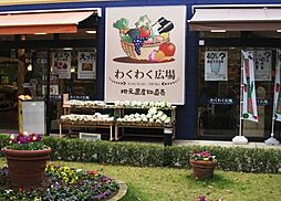 周辺施設の画像