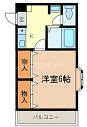 コーラル信栄 1階/-