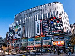 ヨドバシカメラ マルチメディアAkiba　（徒歩12分）
