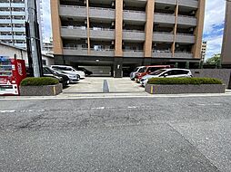 29 / 31