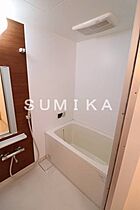 ルミエール大供  ｜ 岡山県岡山市北区大供2丁目（賃貸マンション1LDK・8階・33.72㎡） その8