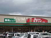 業務スーパーエブリイ大福店 2502m