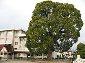 ミランダクラーラ  ｜ 岡山県岡山市東区松新町（賃貸アパート1R・2階・26.08㎡） その14