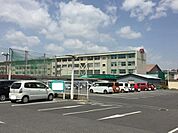 高校・高専「岡山県立岡山南高校まで856ｍ」