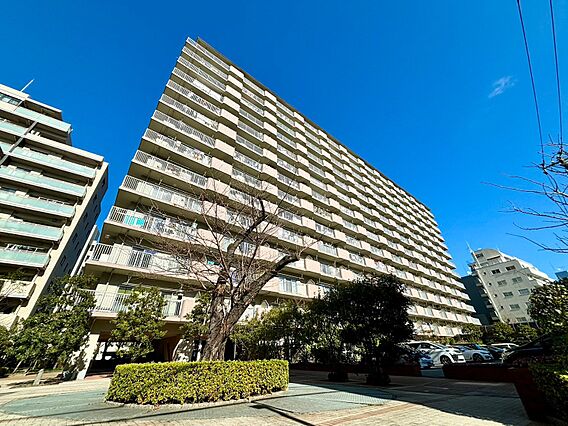 採光や風通しま...