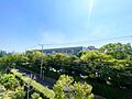 陽当たり・通風...