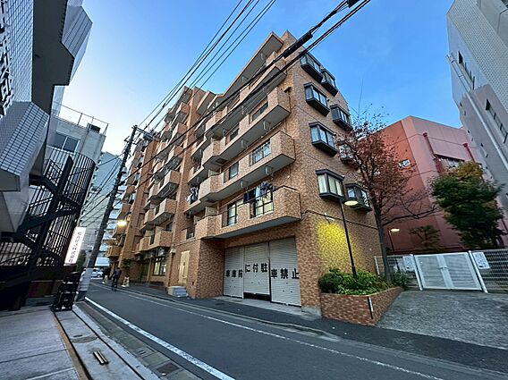 飽きのこないシ...