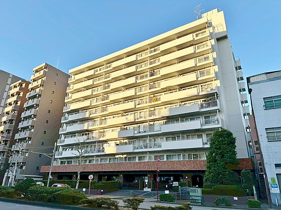 忙しく過ぎゆく...
