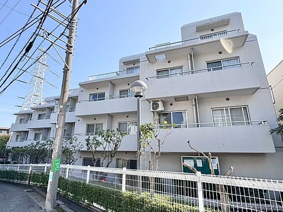 飽きのこないシ...
