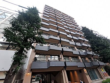 忙しく過ぎゆく日常を置き去るほど、ゆったりした時間が流れる住環境。