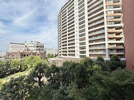 眺望や窓からの景色が良いと、家で過ごす時間も快適です。