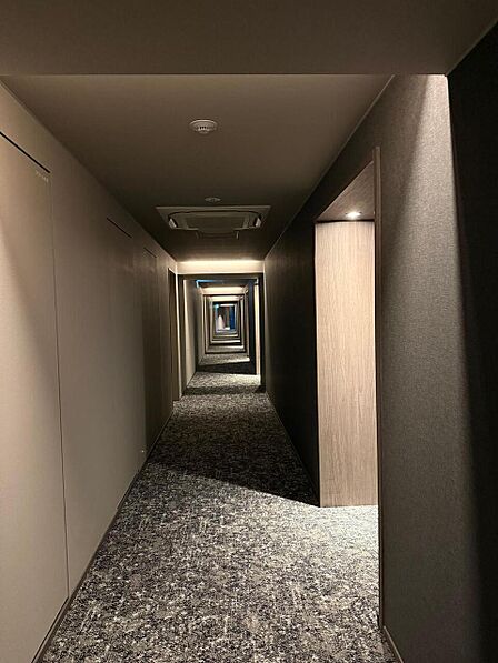 上質感漂う玄関アプローチです。