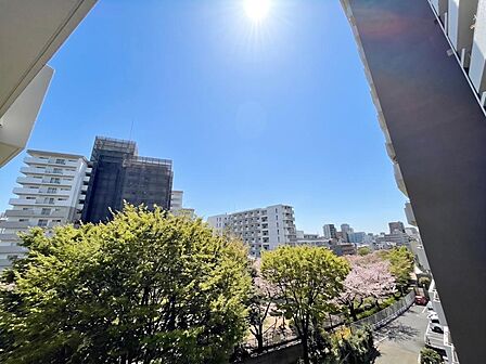 陽当たり・通風・開放感に恵まれた環境です。