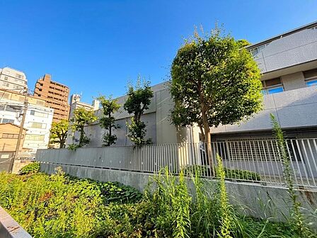 眺望や窓からの景色が良いと、家で過ごす時間も快適です。