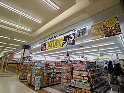 マツモトキヨシ豊洲店 700m