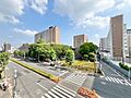 さまざまな表情...