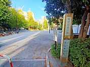 中央区立掘留児童公園 80m