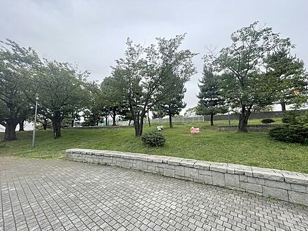 東雲水辺公園 500m