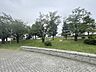 周辺：東雲水辺公園 500m