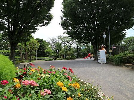 大井公園 450m