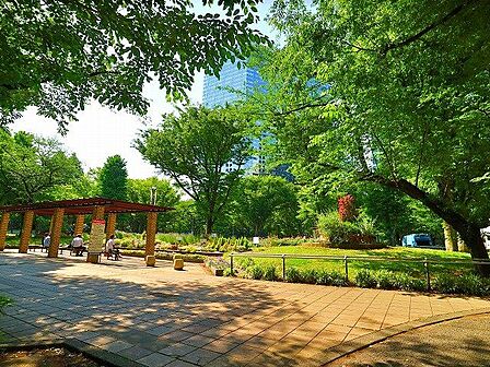 新宿中央公園 800m