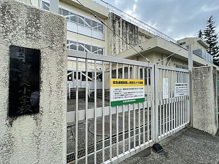 杉並区立済美小学校 550m