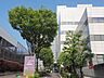 周辺：東京都立墨東病院 300m